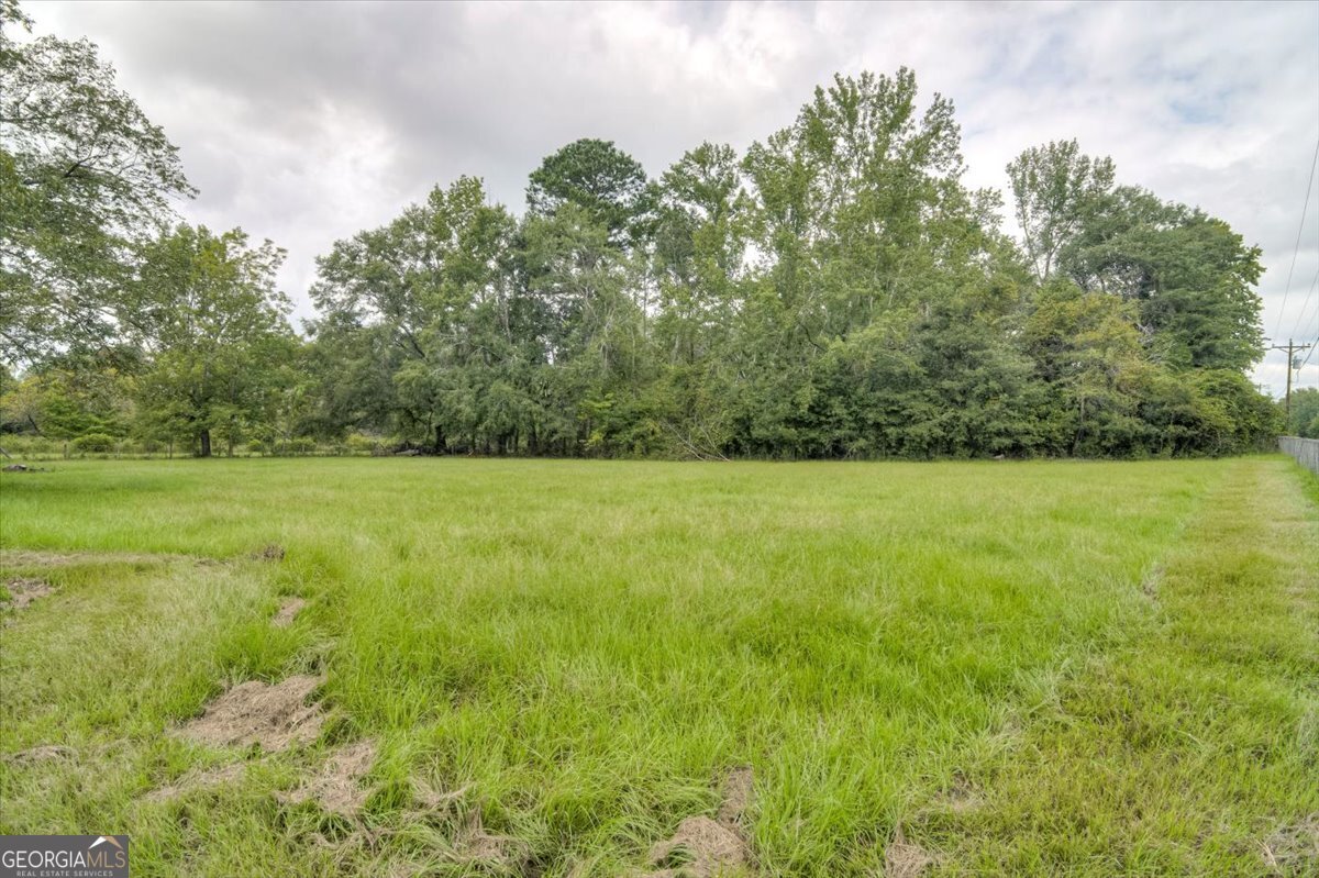 1341 Ga Highway 171 Louisville - 50