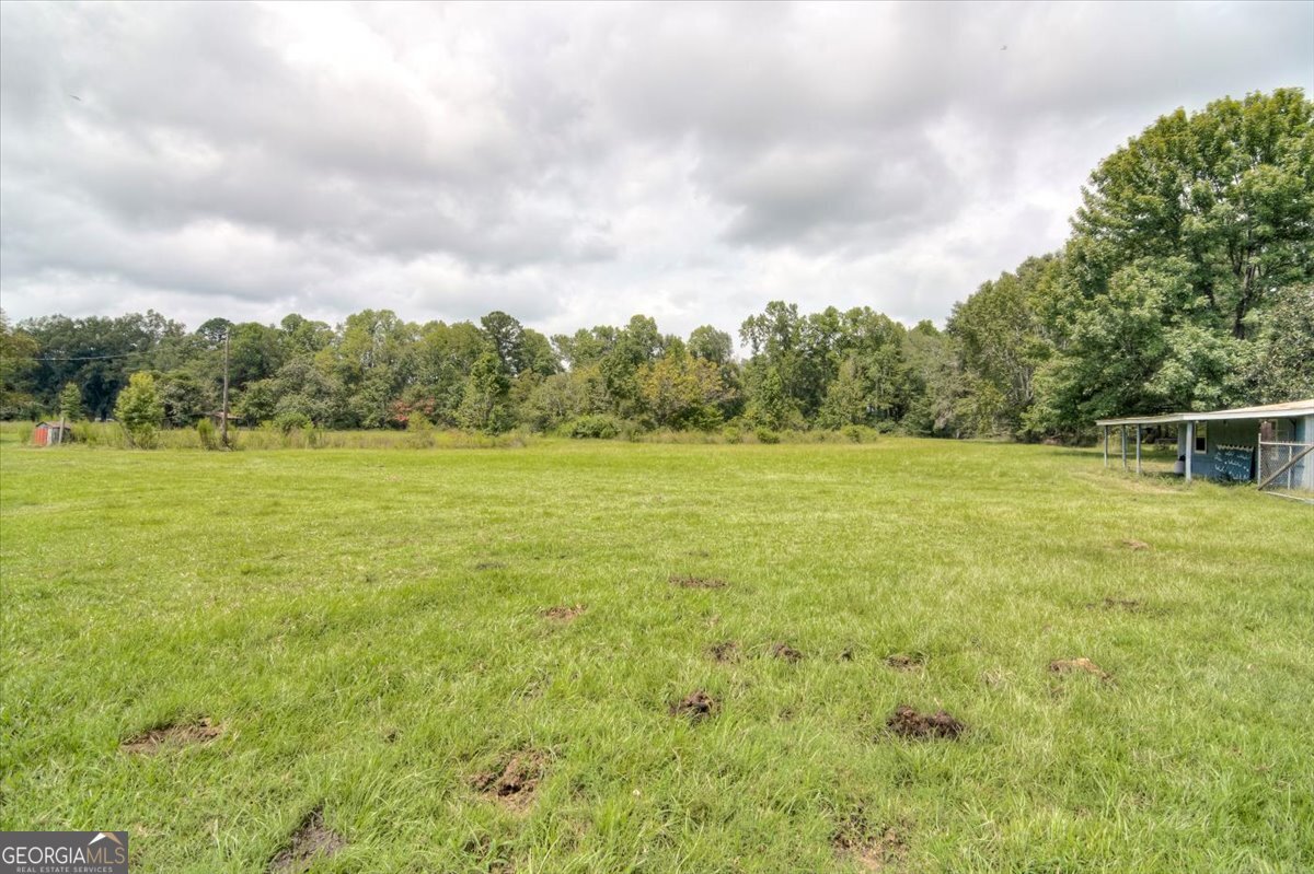 1341 Ga Highway 171 Louisville - 53