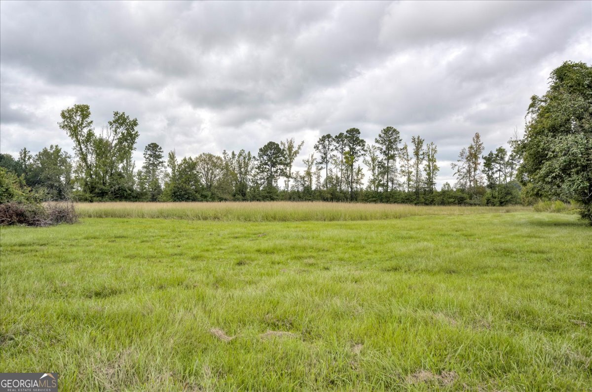 1341 Ga Highway 171 Louisville - 55