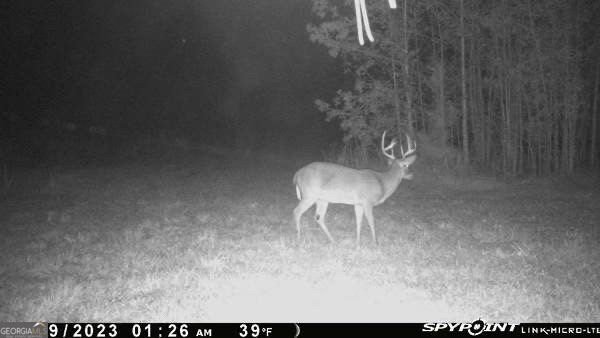1341 Ga Highway 171 Louisville - 7