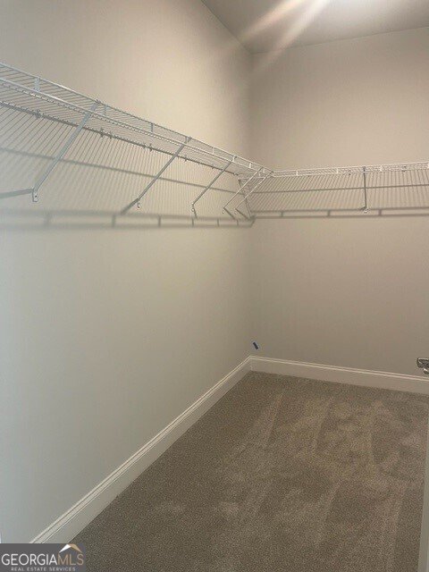 2404 Anhinga Drive Loganville - Photo 14