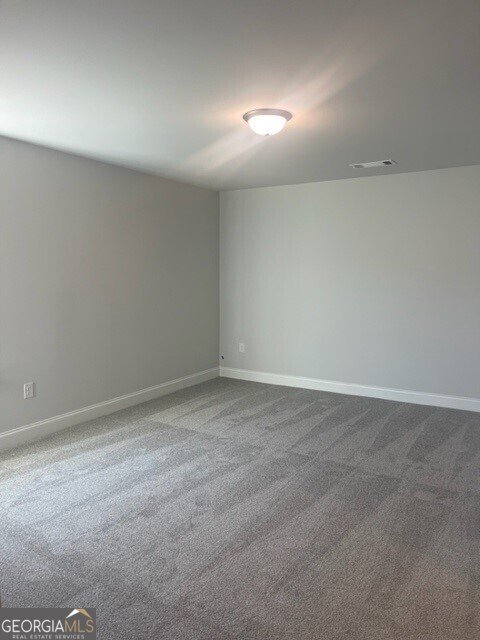 2404 Anhinga Drive Loganville - Photo 9