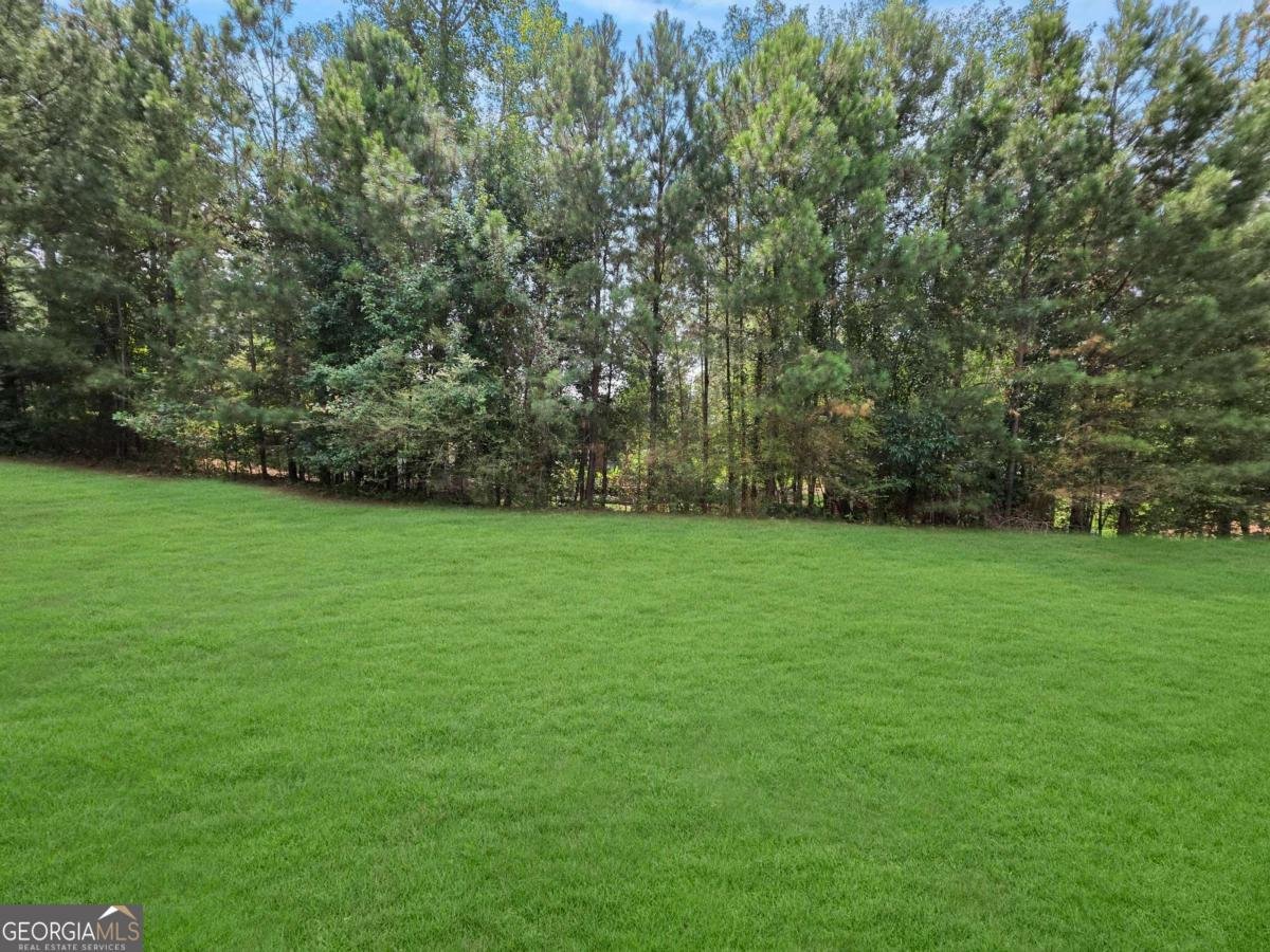 4709 Tradition Parkway Atlanta - 25