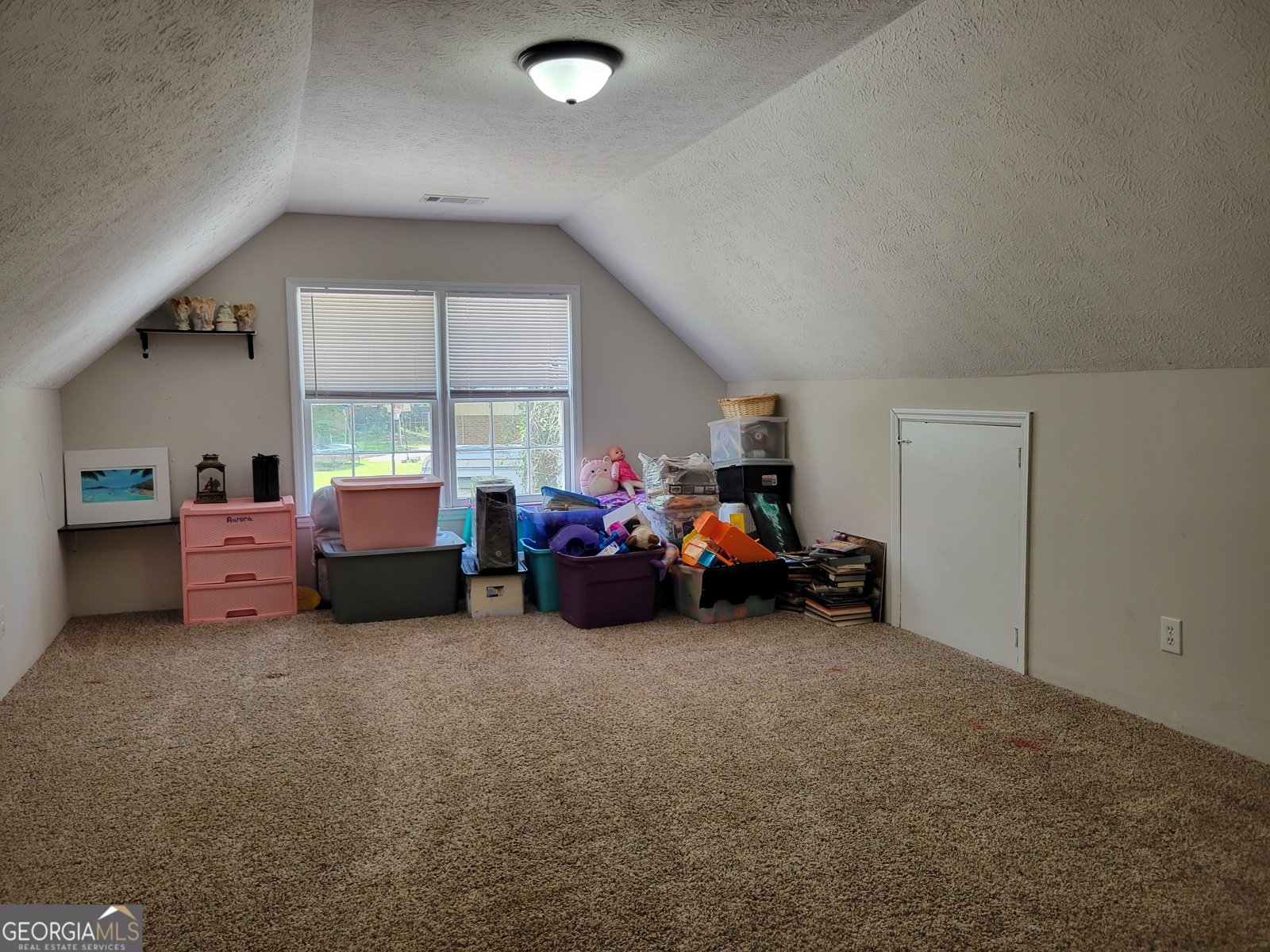 103 Oak Hollow Drive Statesboro - 12