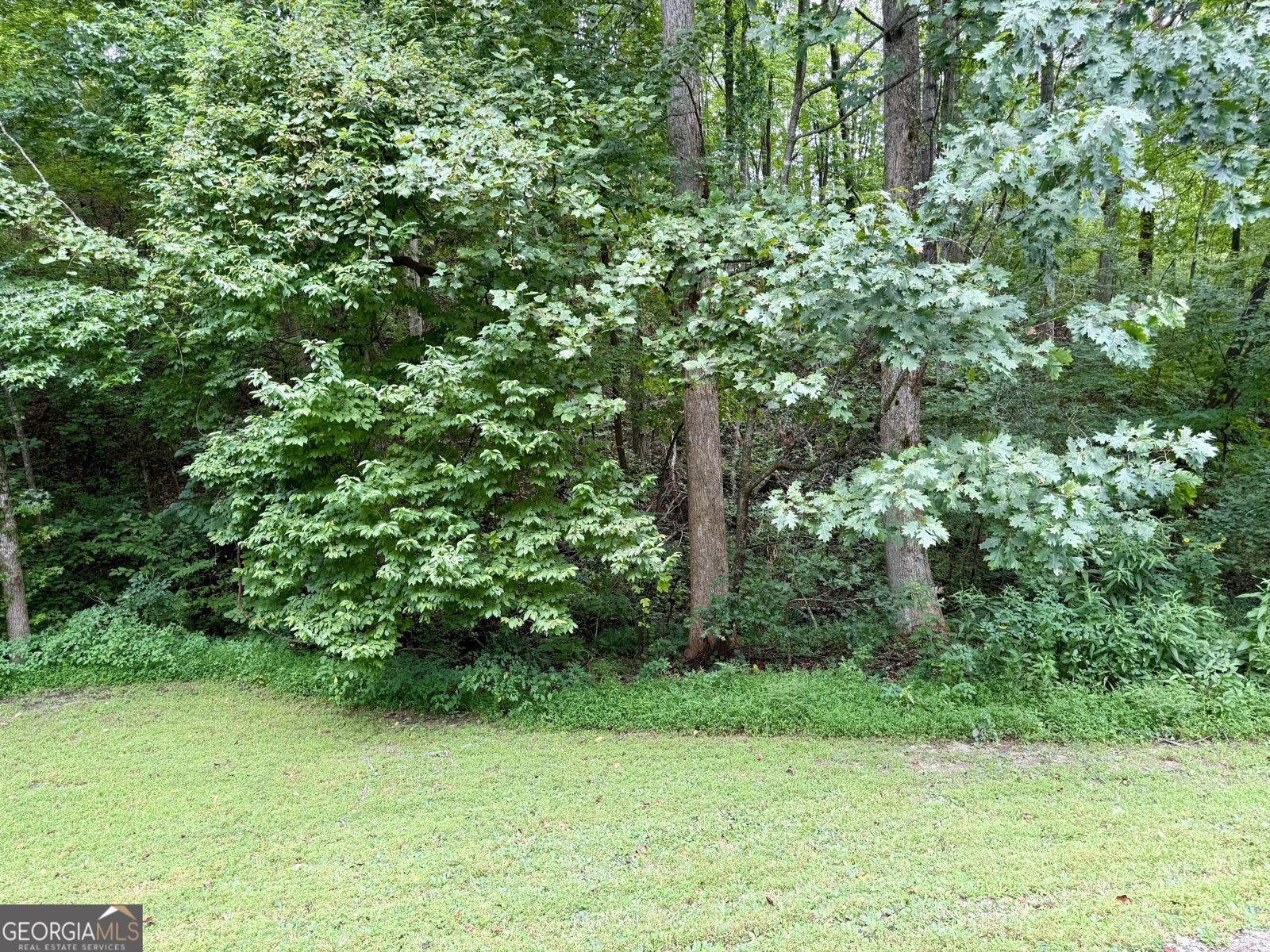 332 Turner Ridge Drive Cleveland - 8