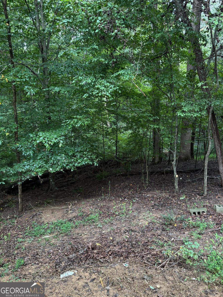 3268 Navajo Circle Gainesville - 4