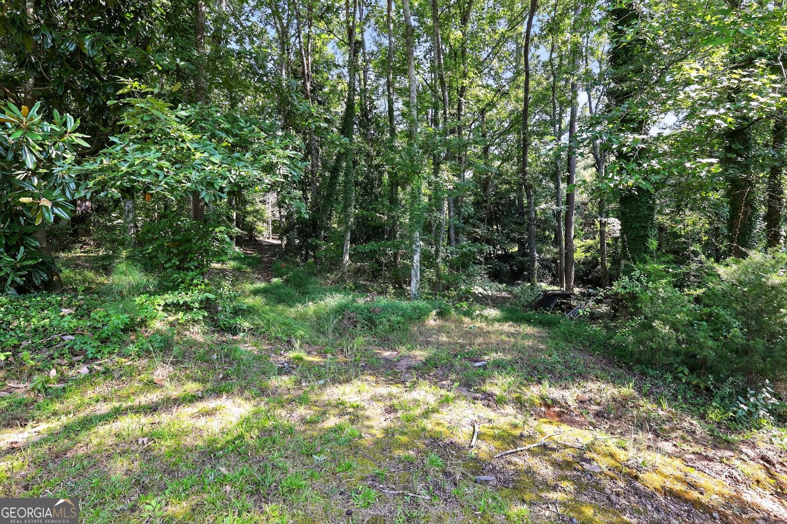621 Mayes Way Manchester - 3
