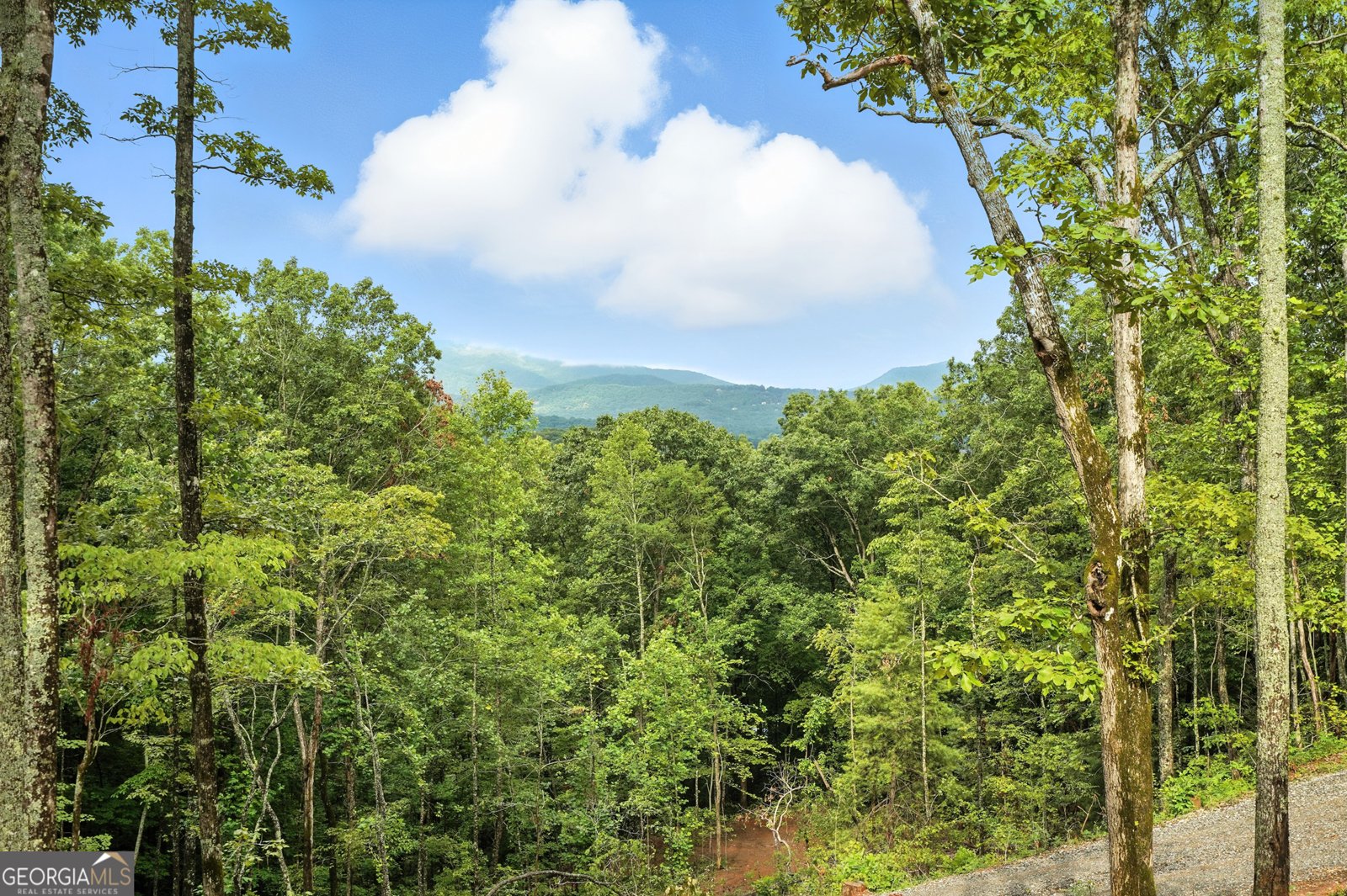 2373 Rainbow Ridge Road Hiawassee - 2
