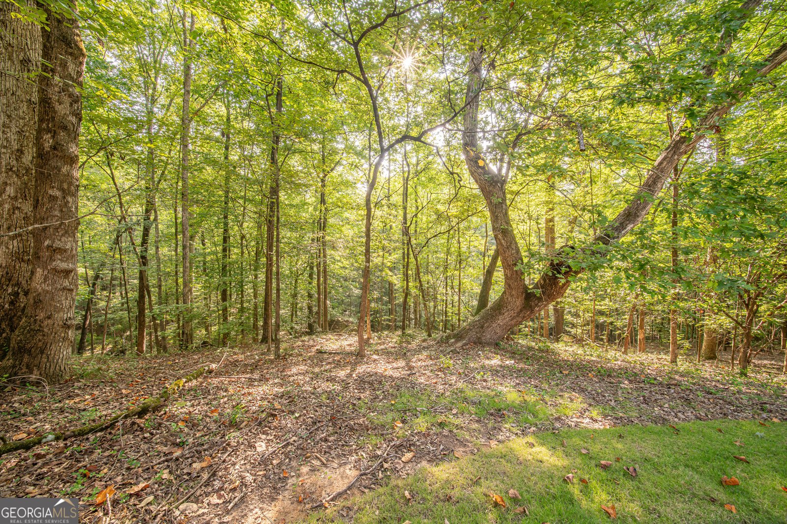 131 Old Gate Road Midland - 18