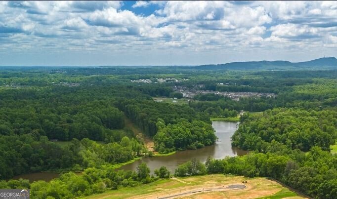6815 Settingdown Creek Drive Dawsonville - 4
