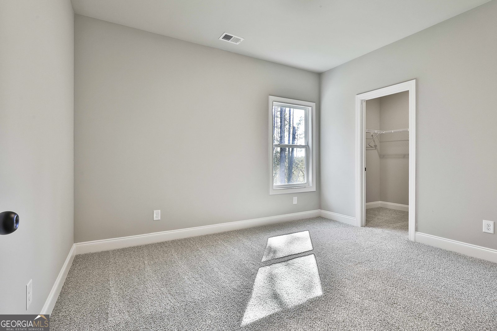 457 Wisteria Lane Williamson - 26