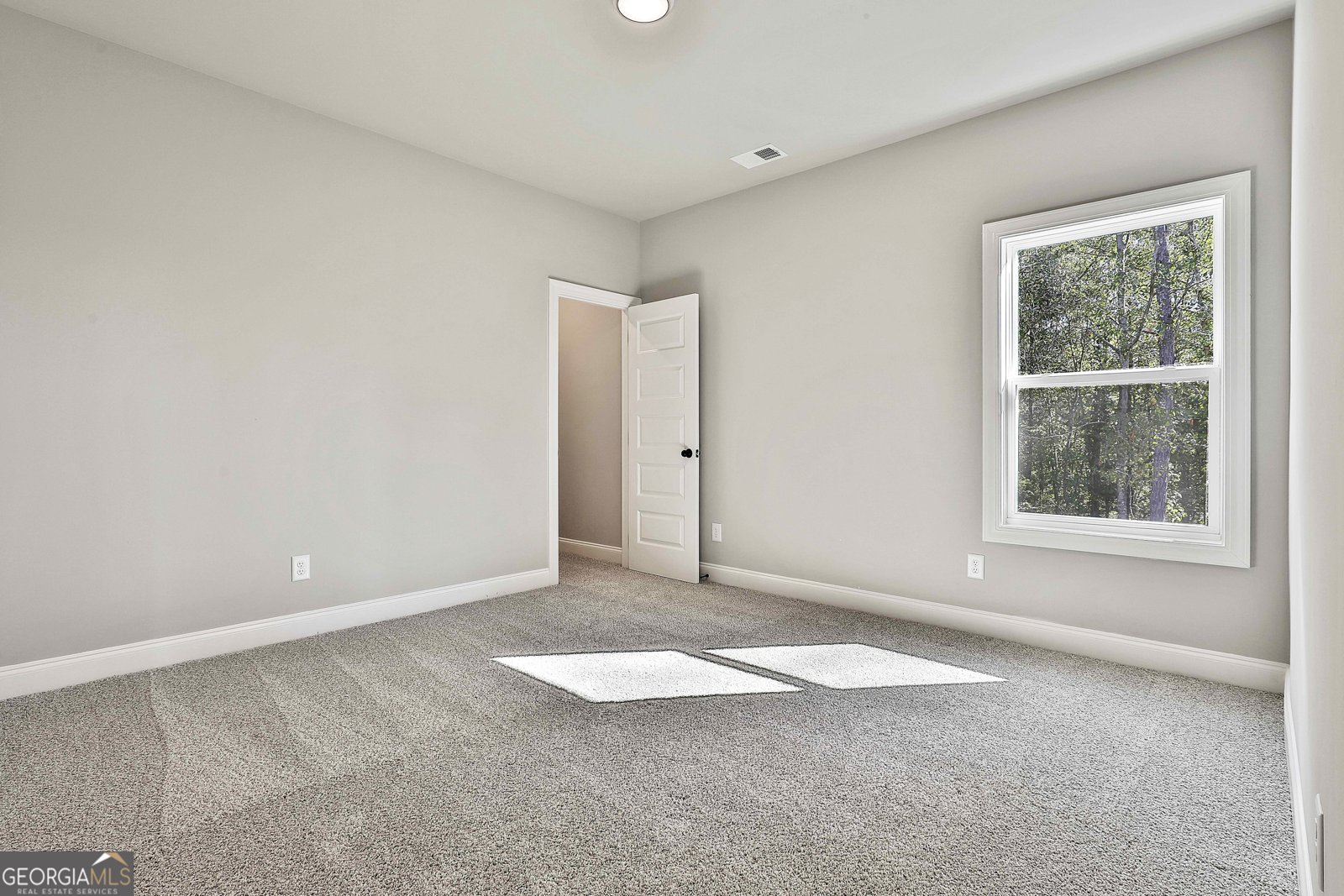 457 Wisteria Lane Williamson - 28