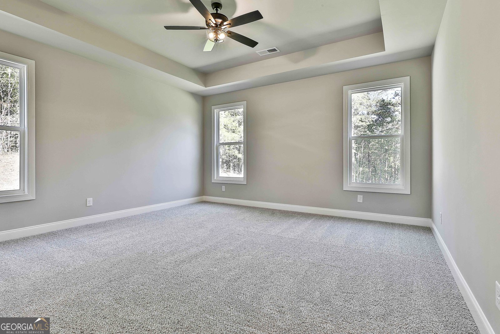 457 Wisteria Lane Williamson - 30