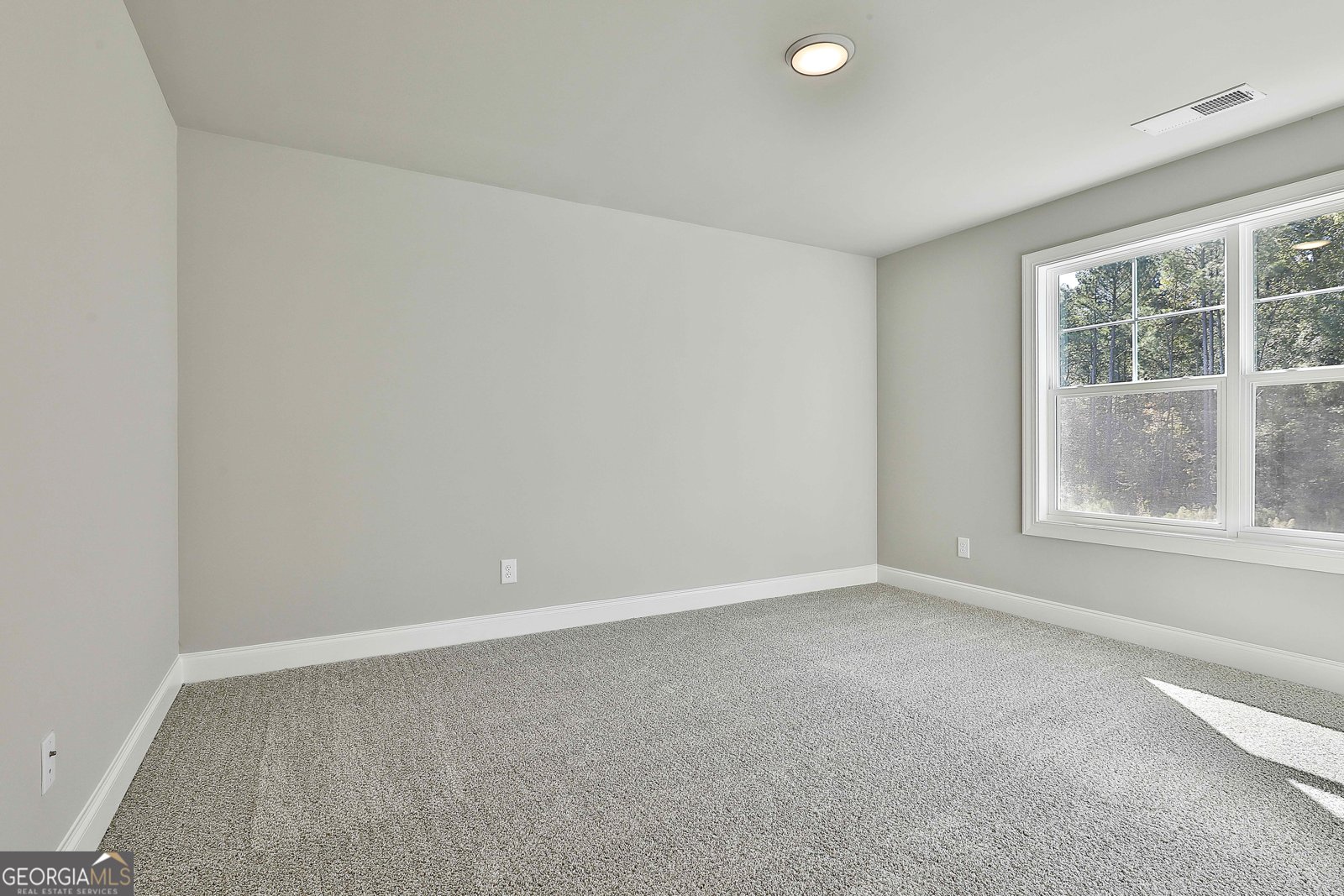 457 Wisteria Lane Williamson - 5