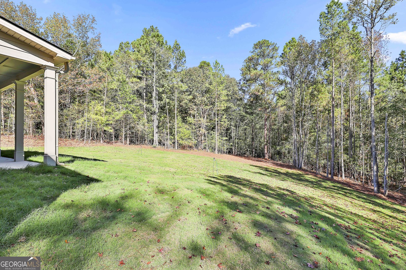 457 Wisteria Lane Williamson - 6