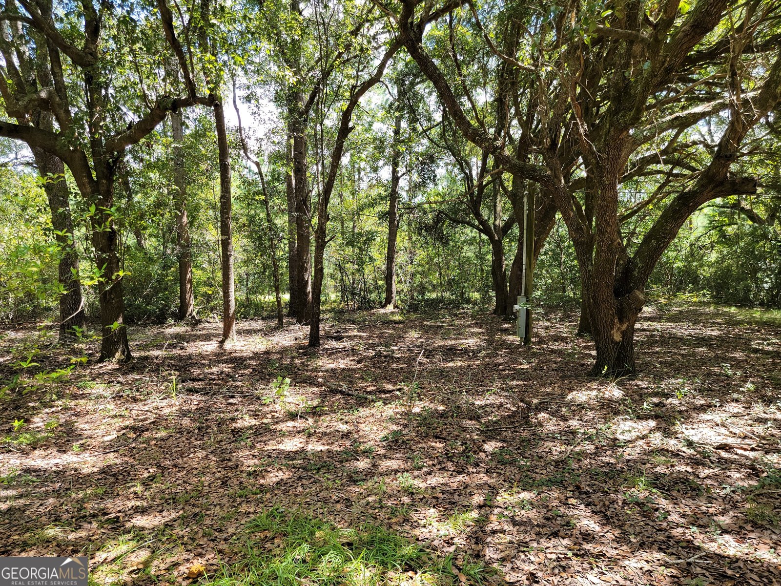 269 Hutcheson Lane Guyton - 20