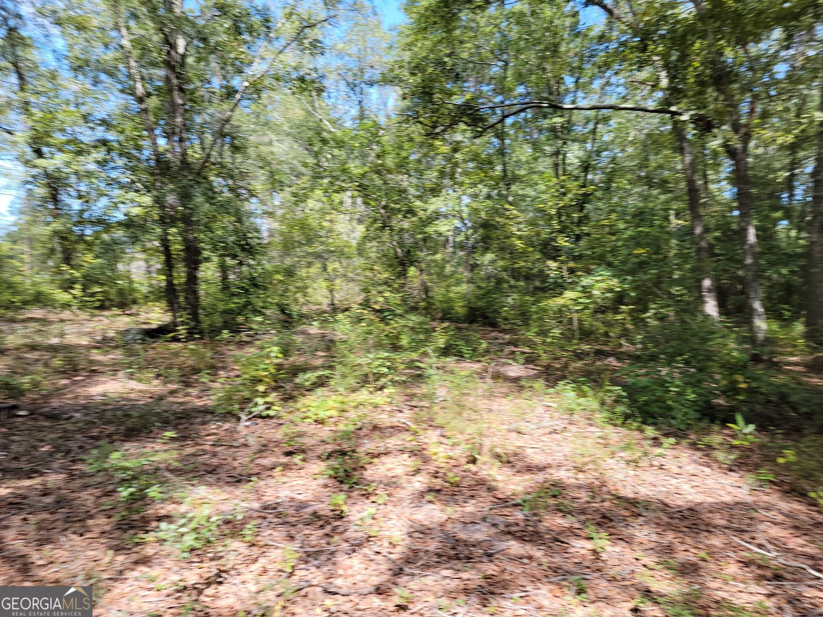 269 Hutcheson Lane Guyton - 22