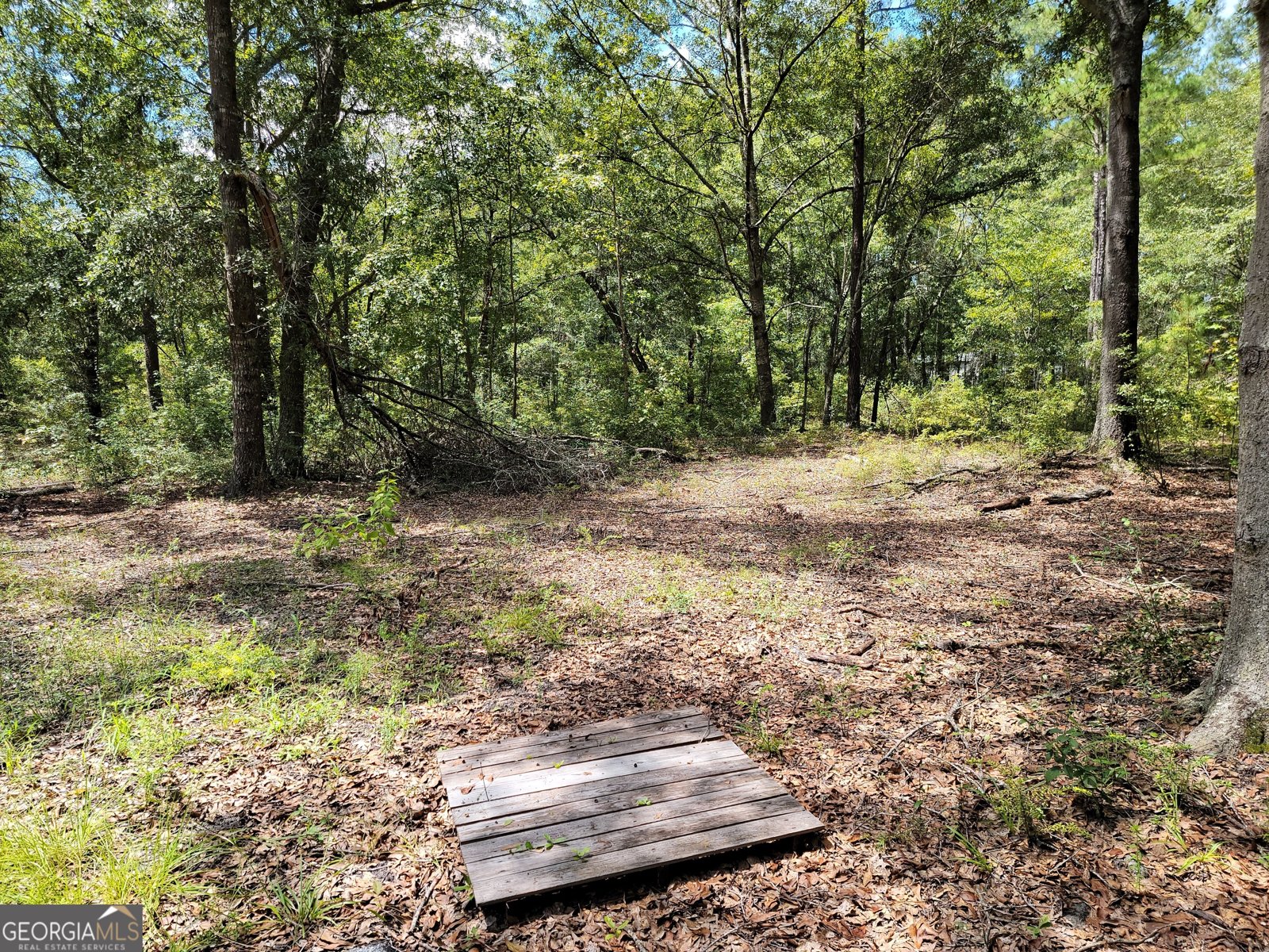 269 Hutcheson Lane Guyton - 24