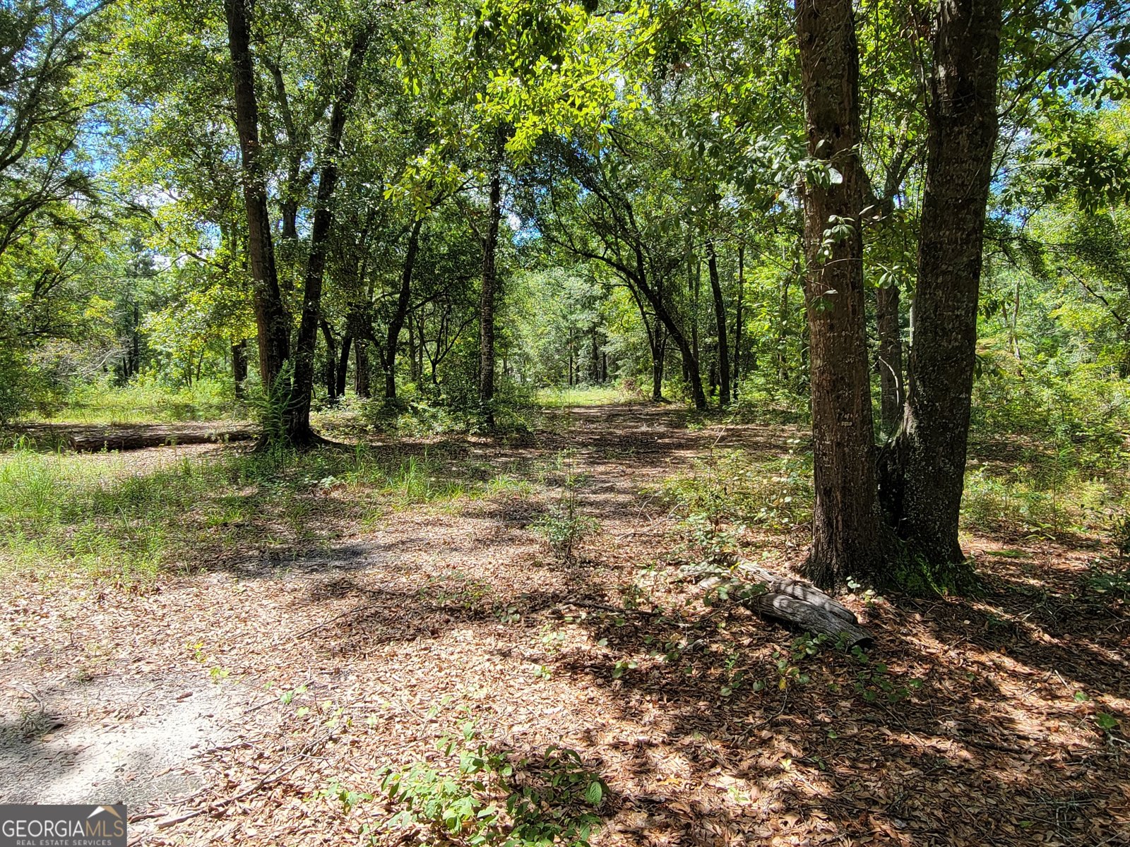 269 Hutcheson Lane Guyton - 26