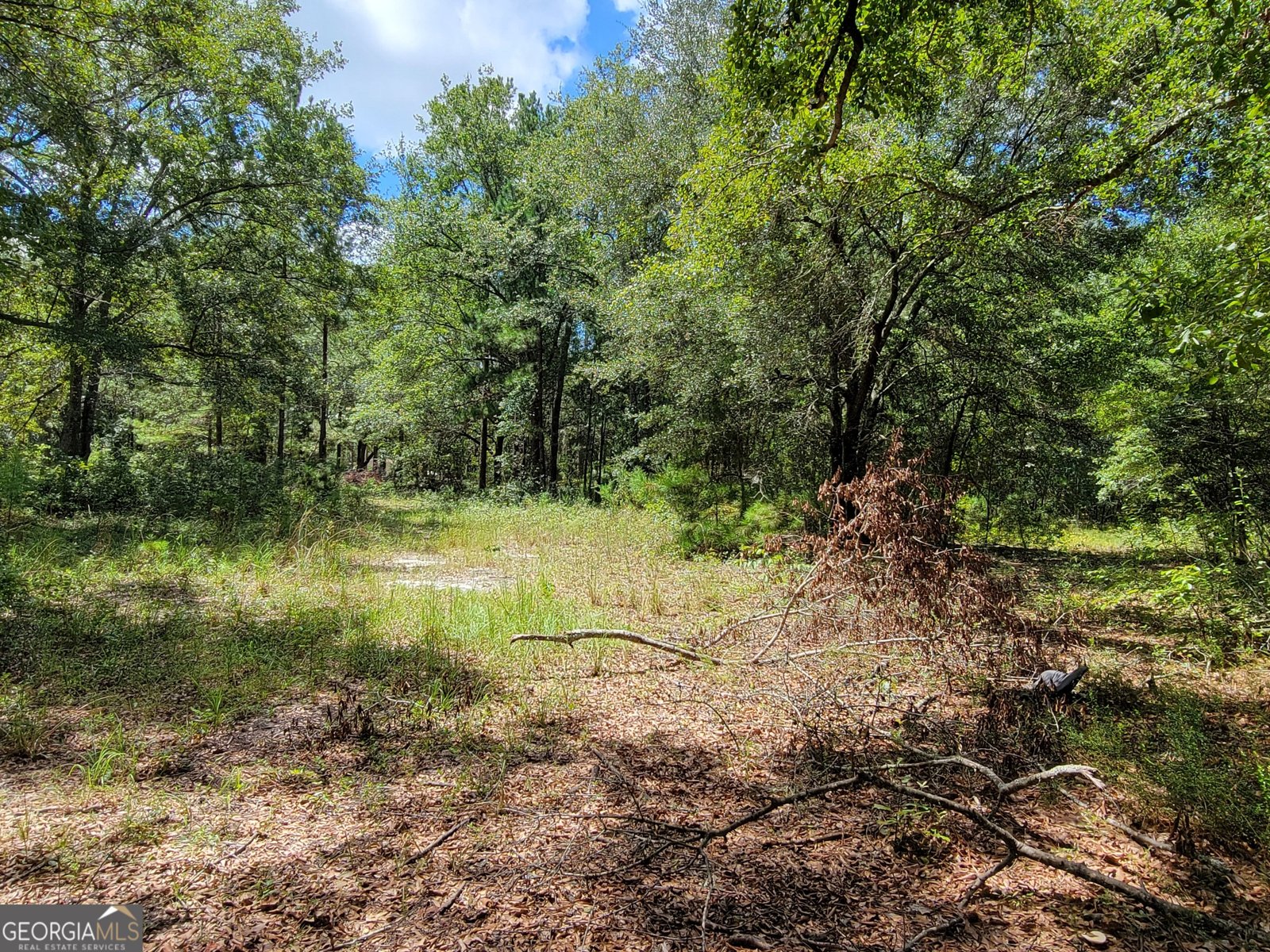 269 Hutcheson Lane Guyton - 27