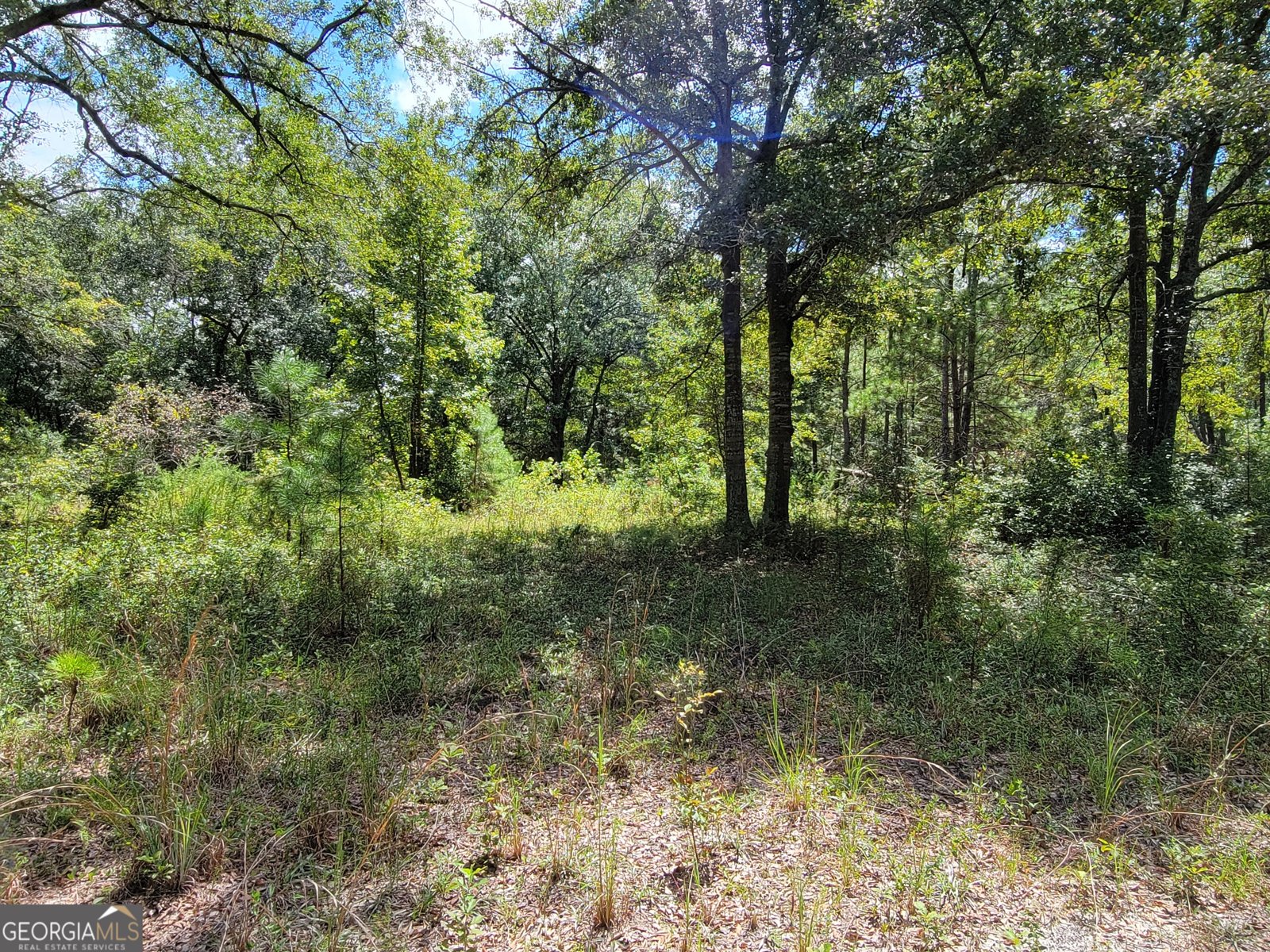269 Hutcheson Lane Guyton - 29