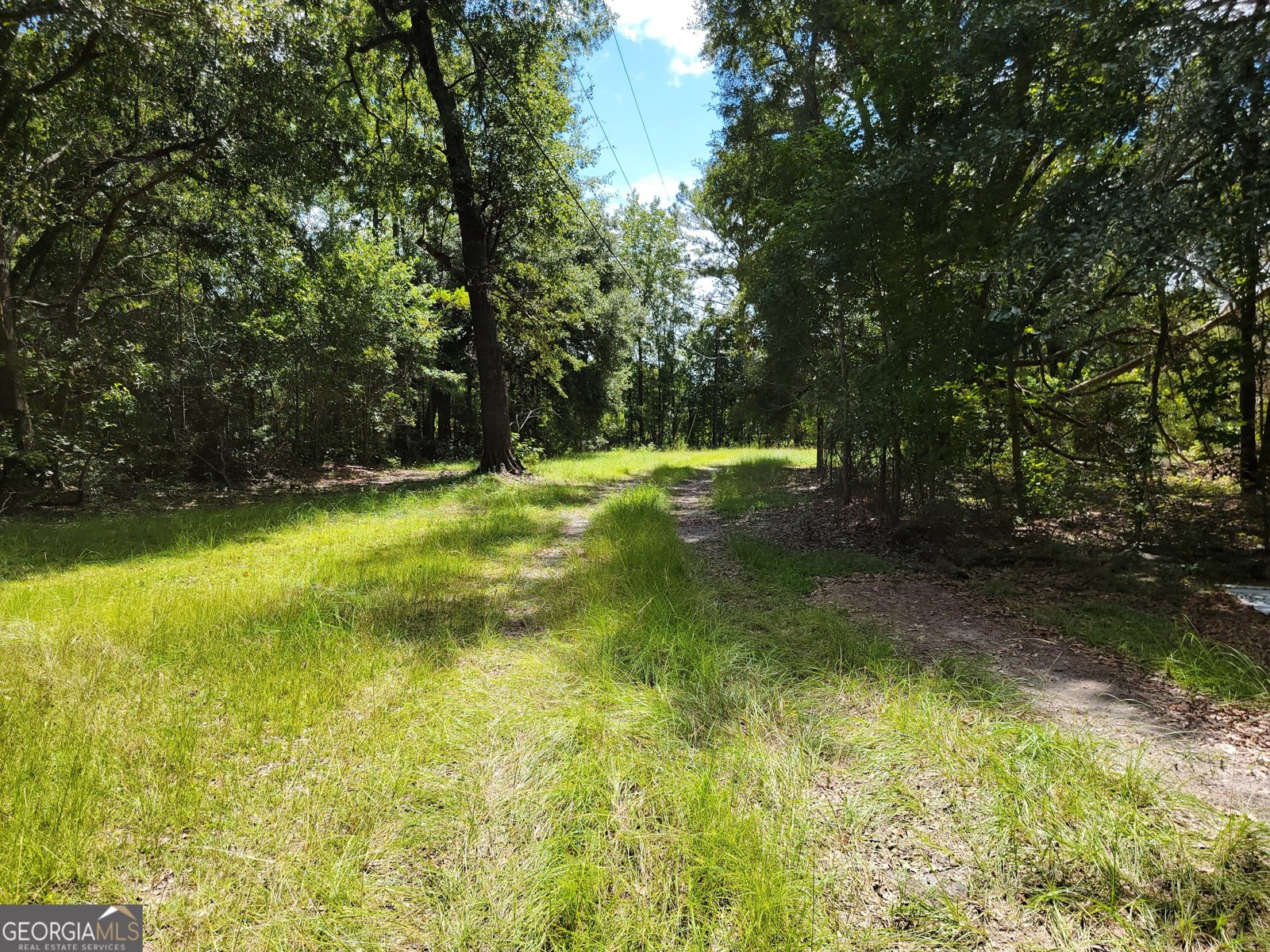 269 Hutcheson Lane Guyton - 3