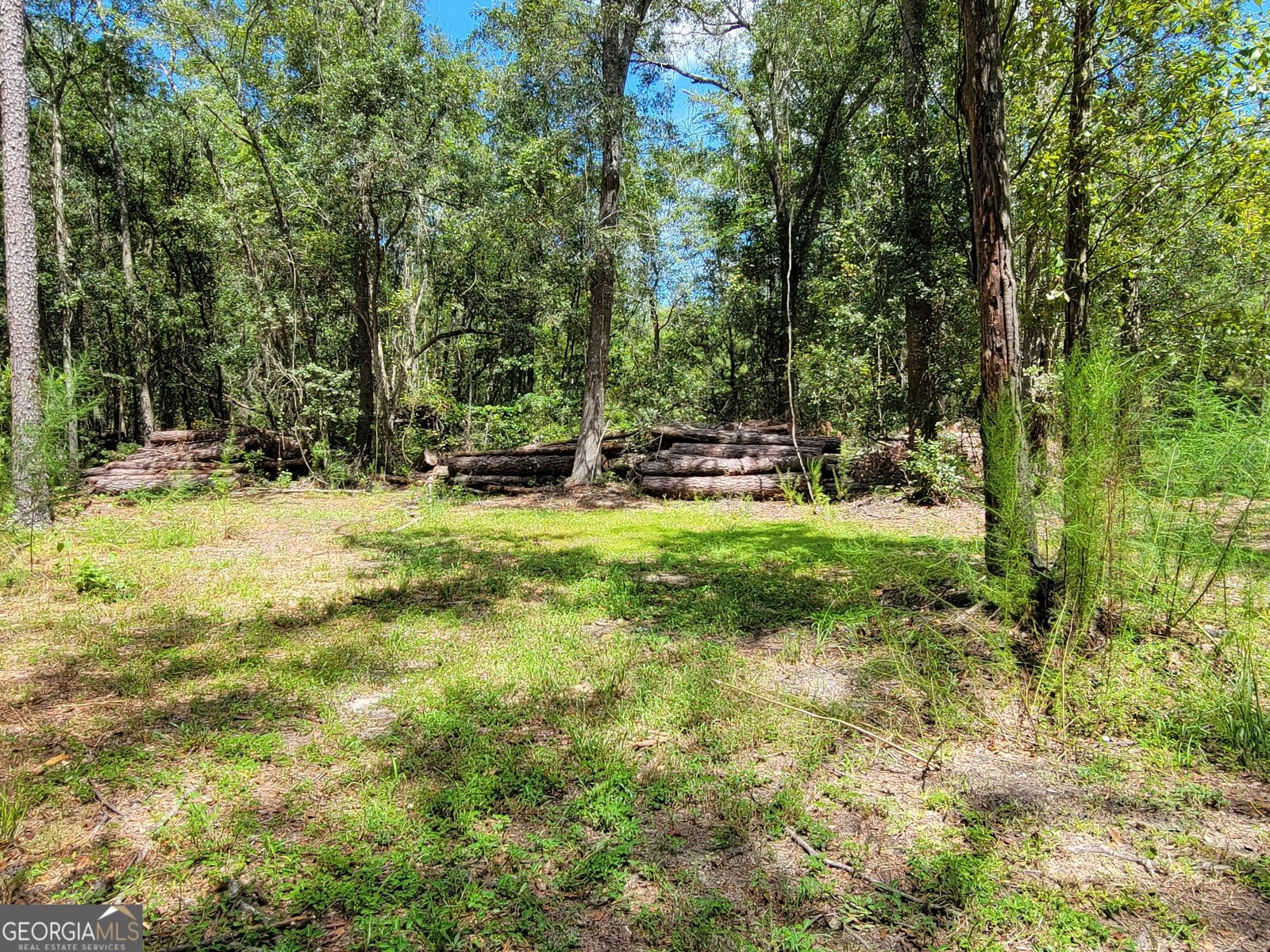 269 Hutcheson Lane Guyton - 30