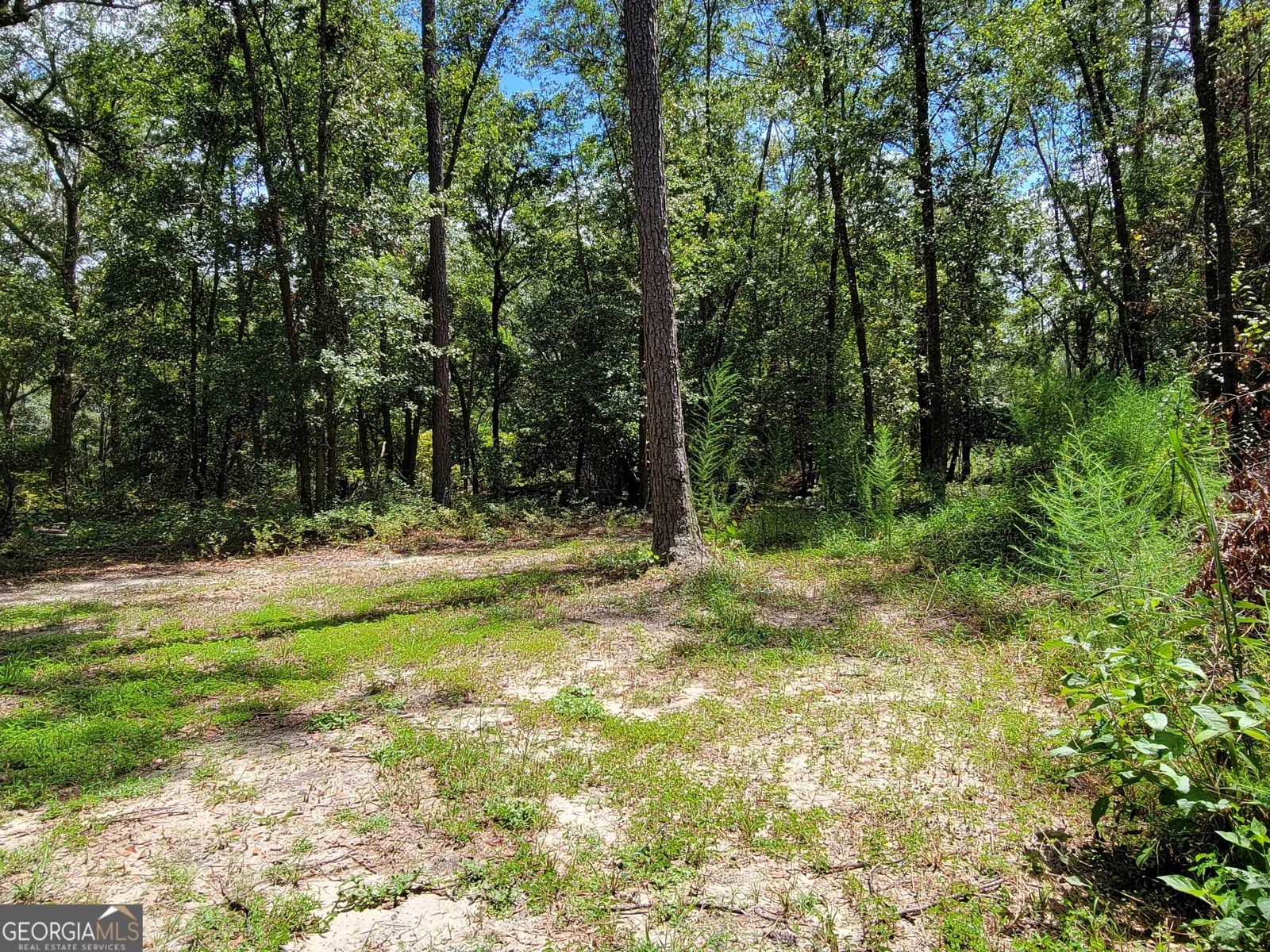 269 Hutcheson Lane Guyton - 31