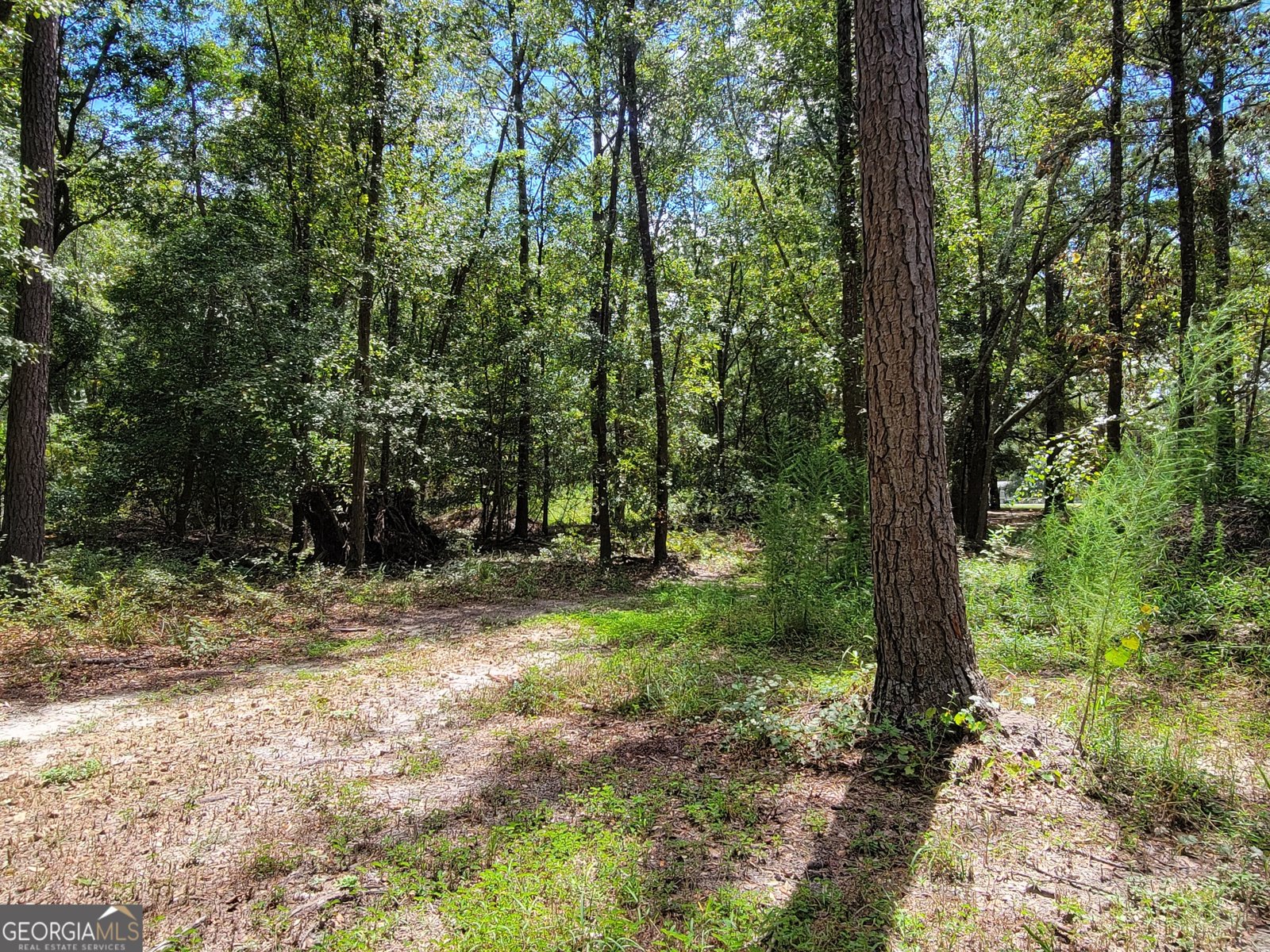 269 Hutcheson Lane Guyton - 32