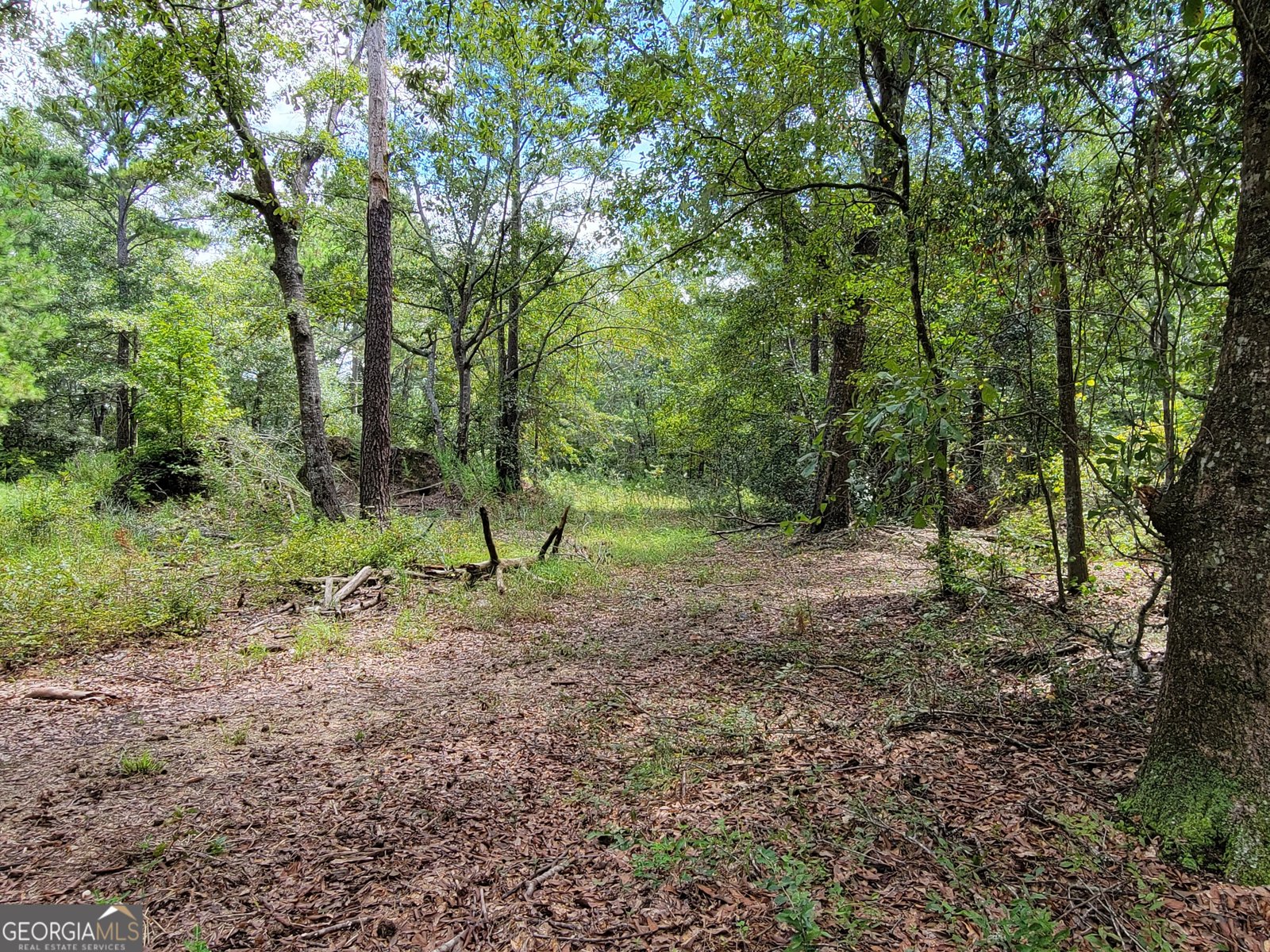269 Hutcheson Lane Guyton - 33