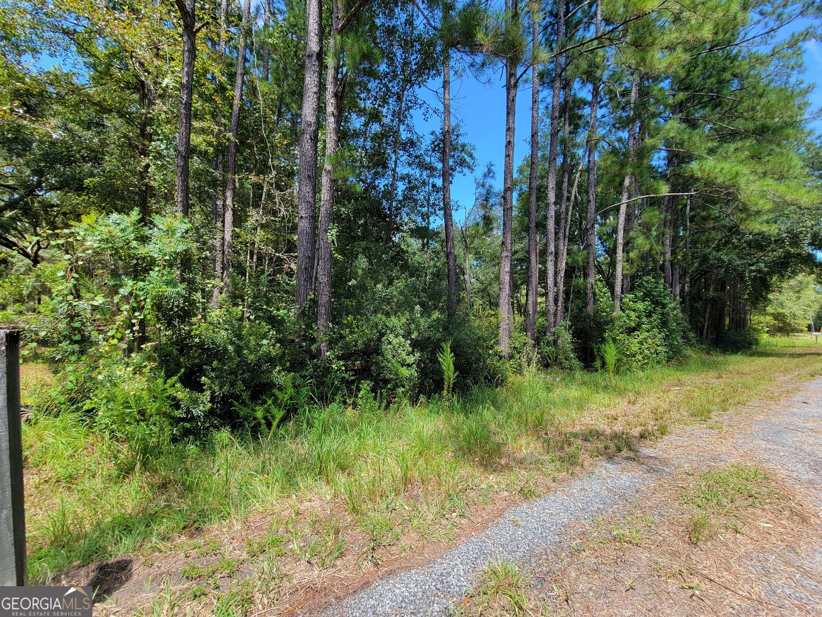 269 Hutcheson Lane Guyton - 4