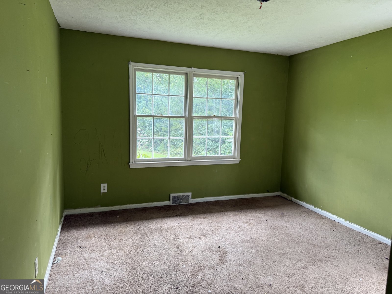 3796 Jones Mill Road Carrollton - 23