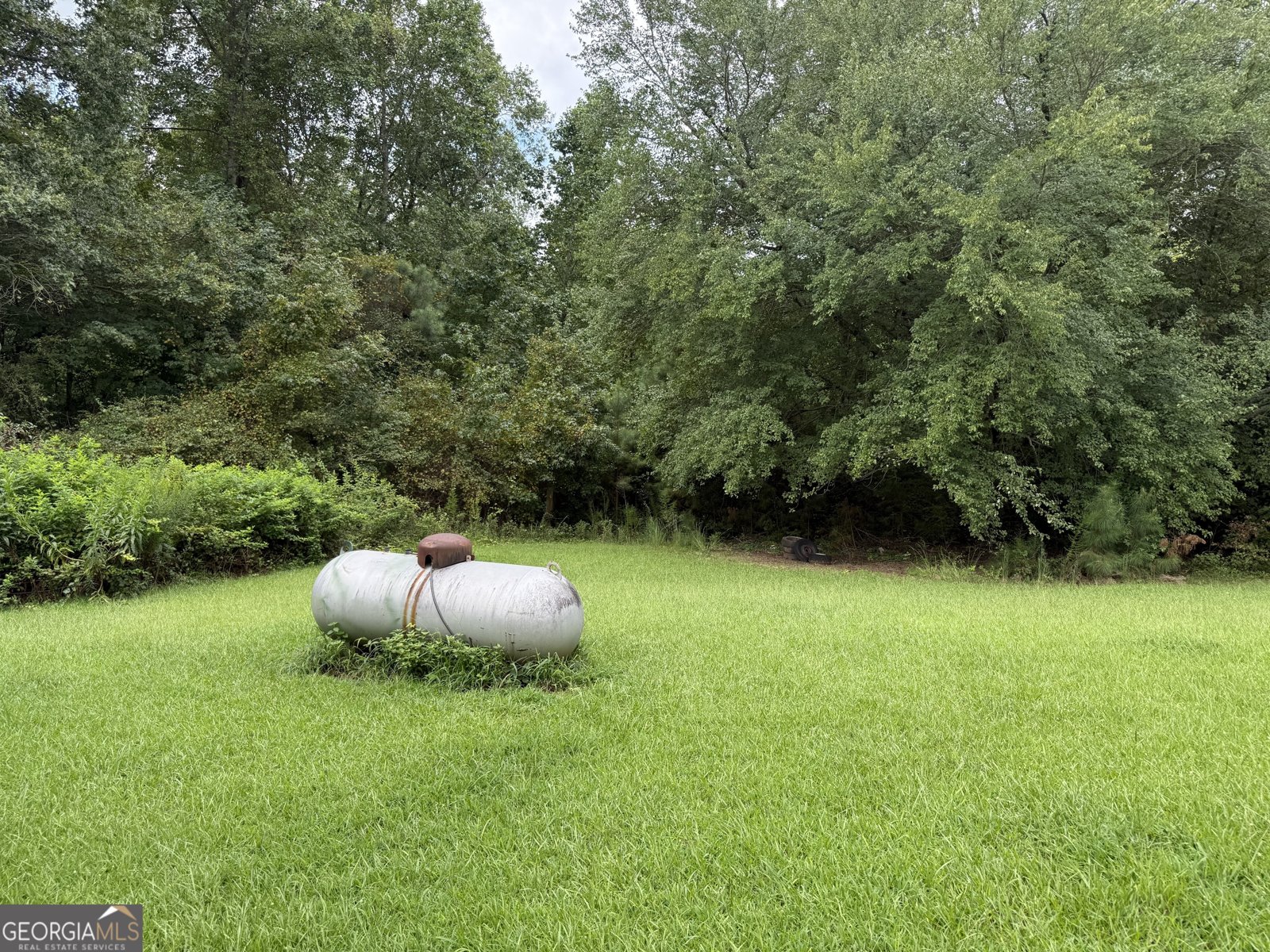 3796 Jones Mill Road Carrollton - 39