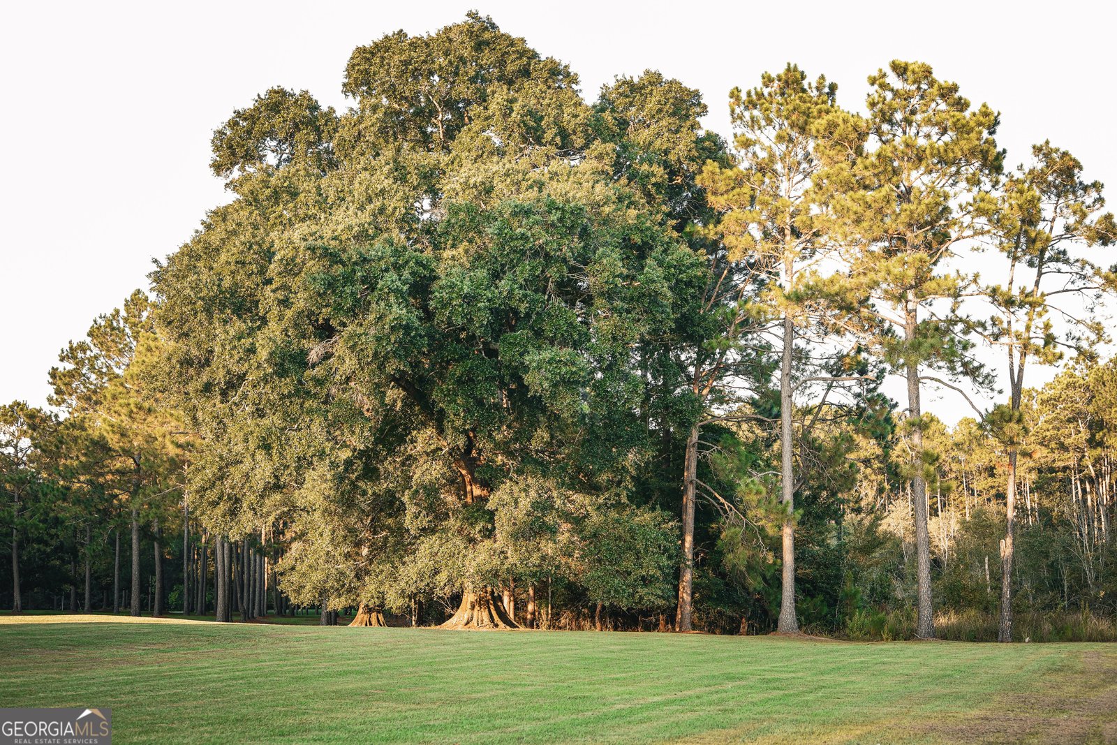 1576 Chula Brookfield Road Tifton - 16