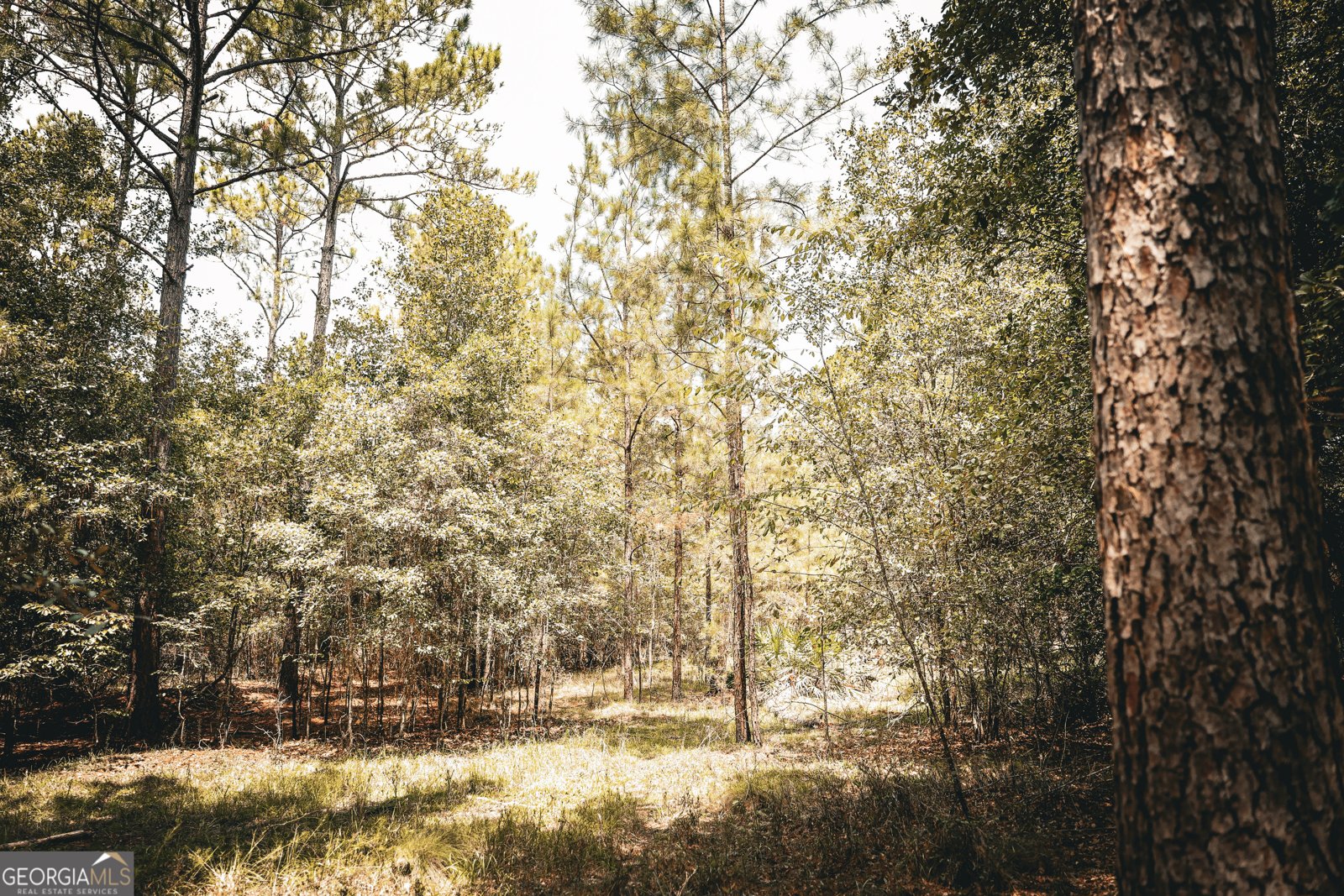 1576 Chula Brookfield Road Tifton - 42