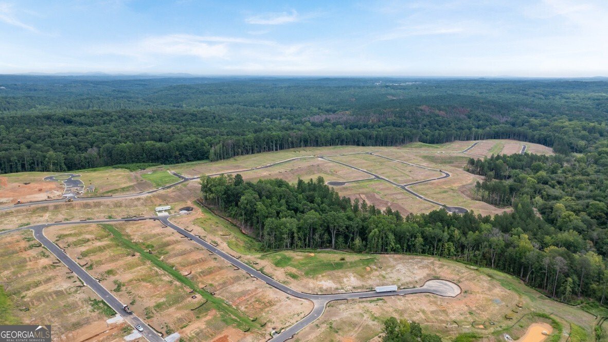 83 Beautyberry Lane Dallas - Photo 76