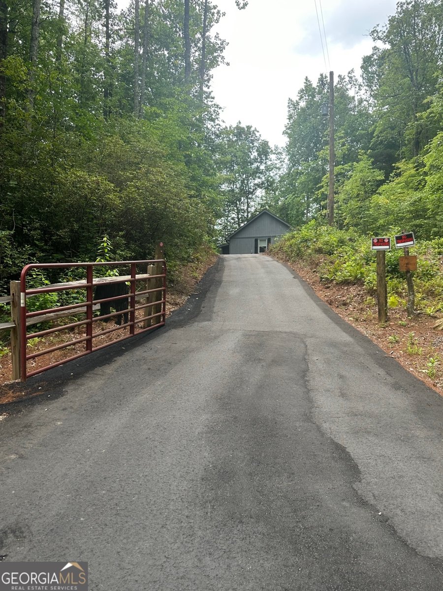 47 CRIPPLE CREEK Lane Tiger - 16