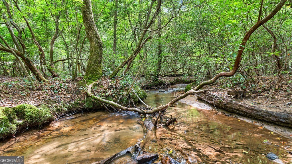 167 Mangums Trail Blue Ridge - 29