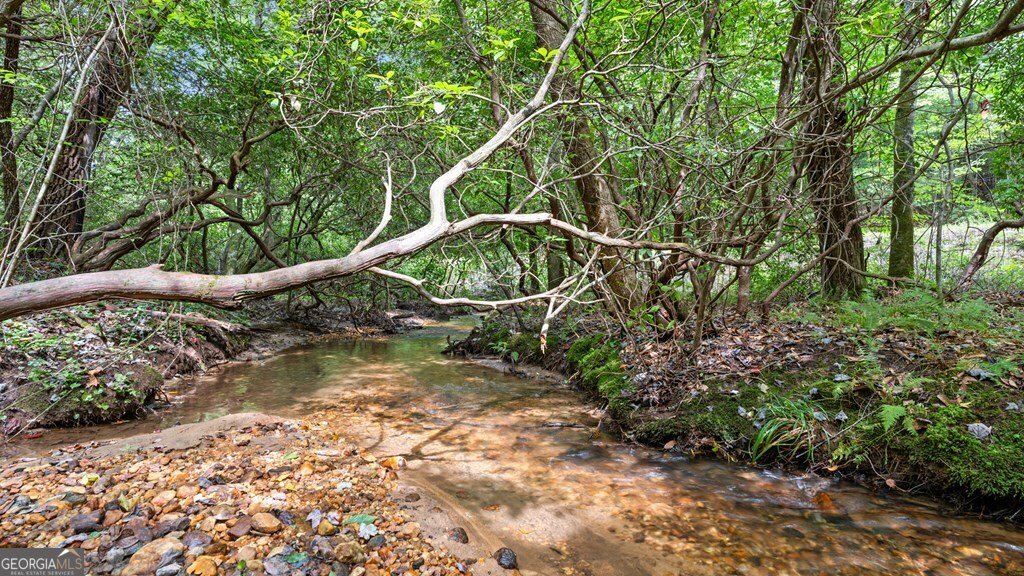 167 Mangums Trail Blue Ridge - 31