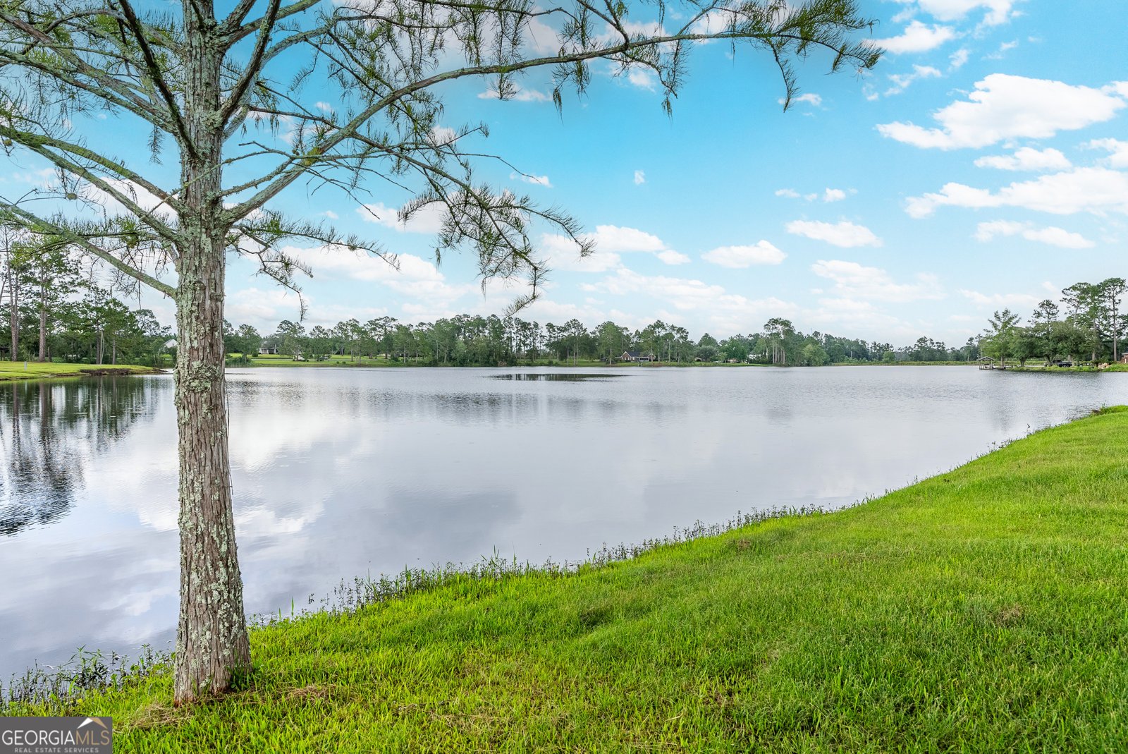 161 Green Tree Drive Broxton - Photo 65