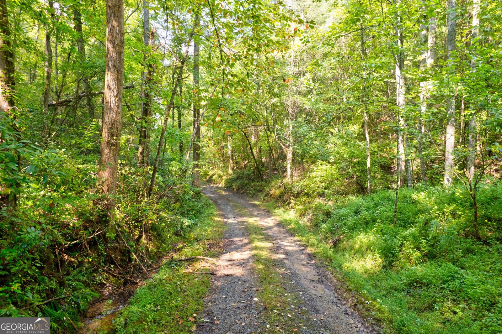 312 Charles Road Ellijay - 11