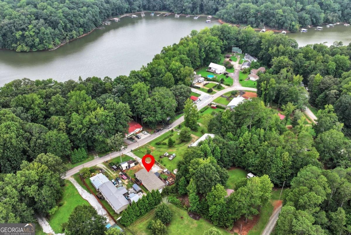 112 Fisherman Cove Lavonia - 45