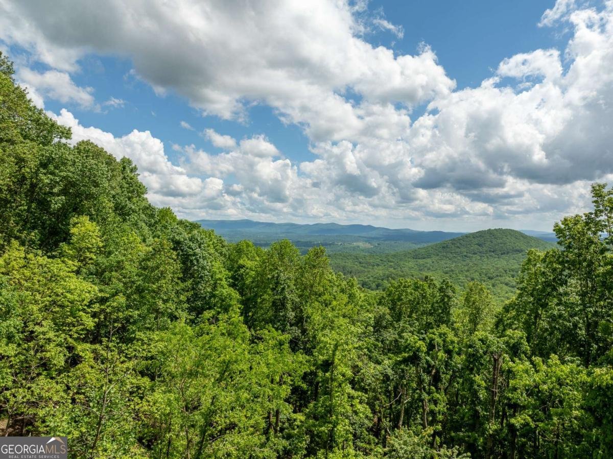 170 Walnut Ridge Ellijay - 3