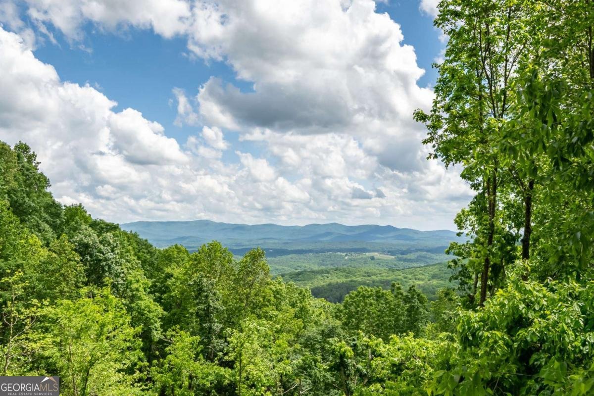170 Walnut Ridge Ellijay - 8