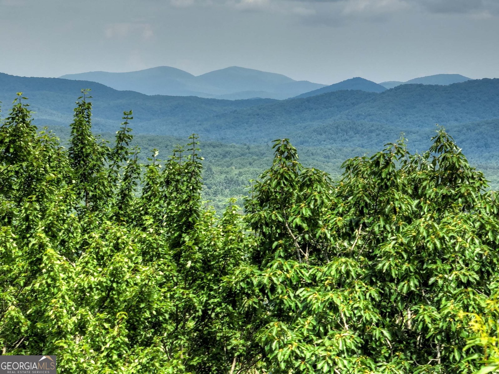 417 Bill Claypool Drive Blue Ridge - 55