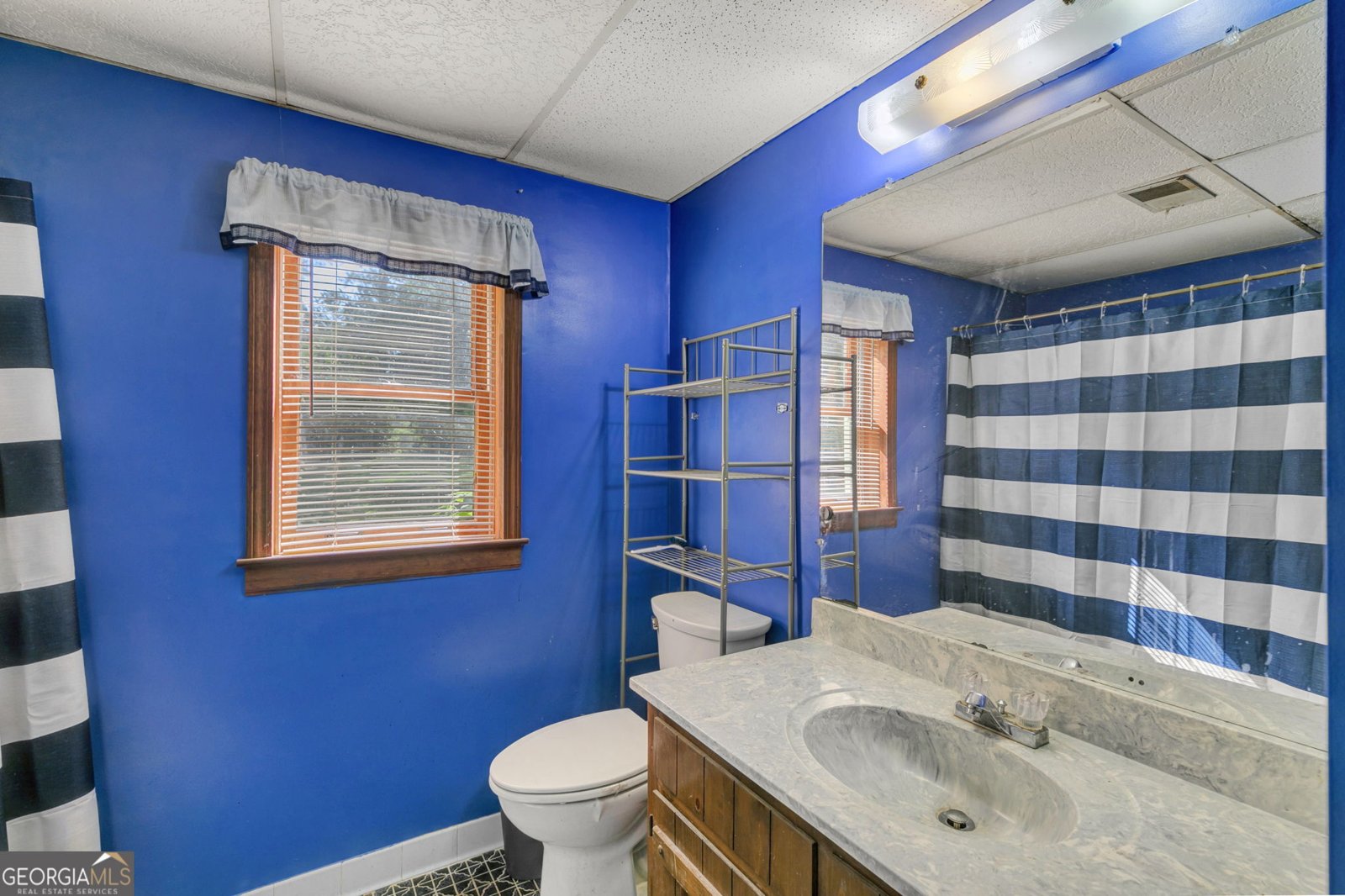 1687 North East Hickory Level Road Villa Rica - 2