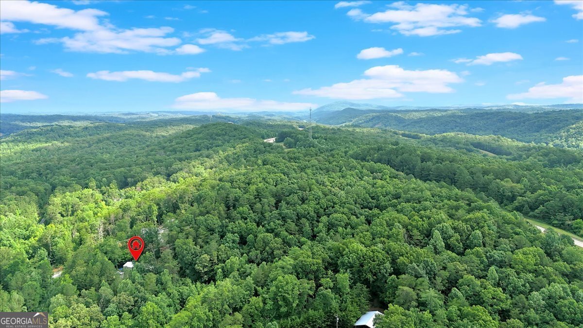 196 Whitestone Drive Talking Rock - 15