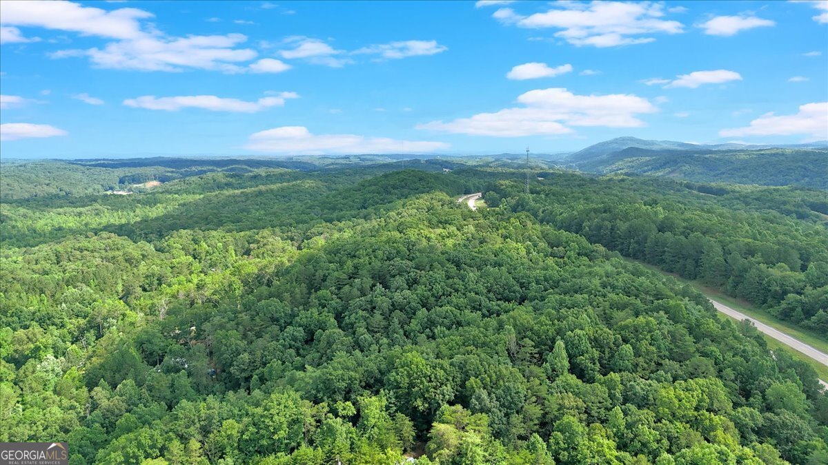 196 Whitestone Drive Talking Rock - 16