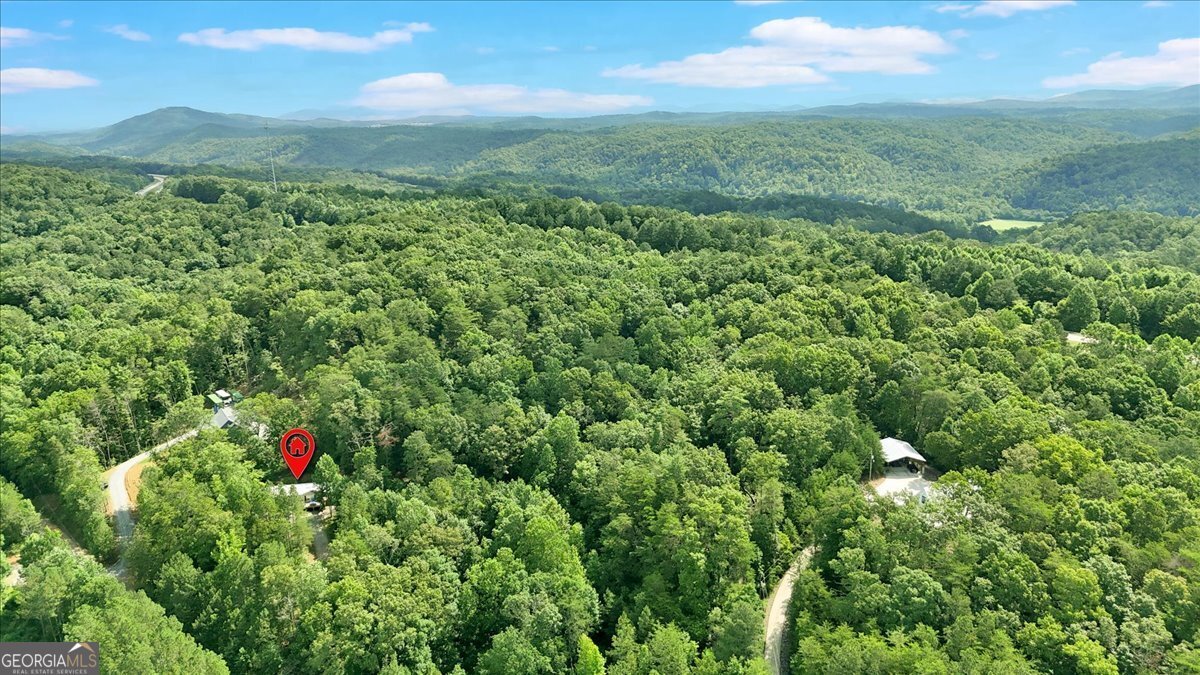 196 Whitestone Drive Talking Rock - 18