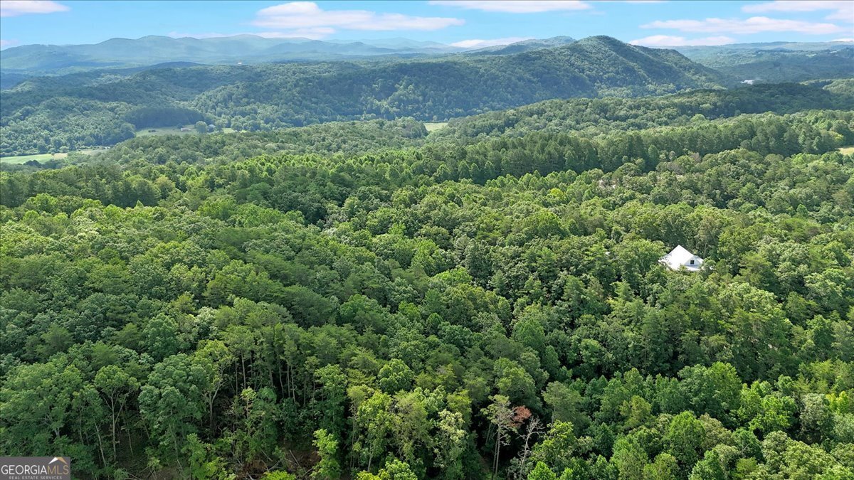 196 Whitestone Drive Talking Rock - 19